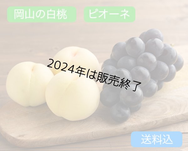 画像1: 岡山の白桃 （約230ｇ）×4玉、ピオーネ（約600g）×1房【2024年】【50セット限定】 (1)