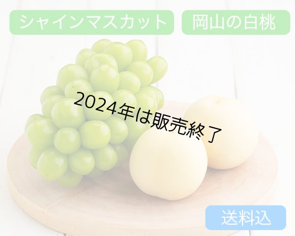 画像1: 岡山の白桃（約230ｇ）×4玉、シャインマスカット「晴王」（1房（約600ｇ））【2024年】【50セット限定】 (1)